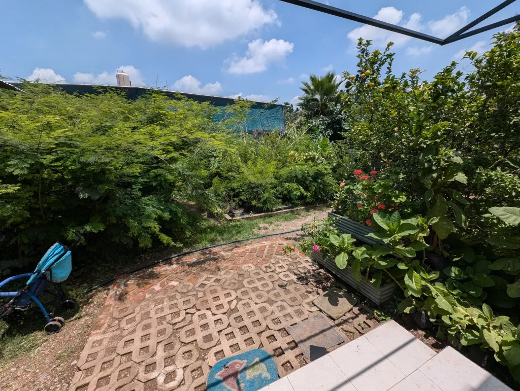 garden