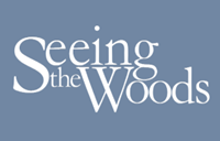 Seeing the woods