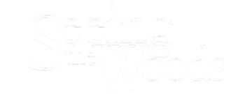 Seeing the woods