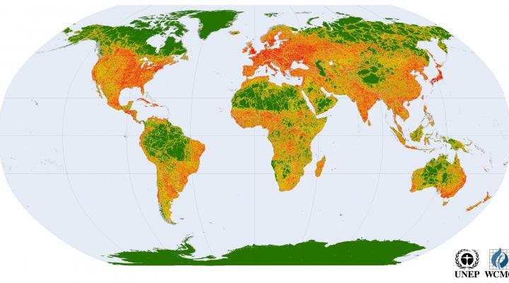 Wilderness Babel: What Does Wilderness Mean in Your Language?