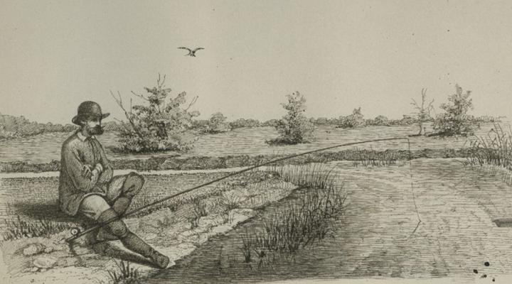 “Commanding, Sovereign Stream”: The Neva and the Viennese Danube in the History of Imperial Metropolitan Centers