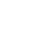 Perspectives Logo
